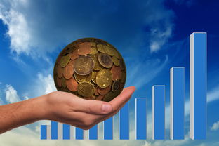 开云·体育官网-险资热衷高股息股票，投资逻辑探秘，高股息股票基金是什么